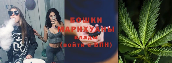 амф Мегион
