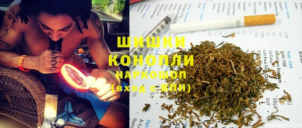 ПСИЛОЦИБИНОВЫЕ ГРИБЫ Медвежьегорск