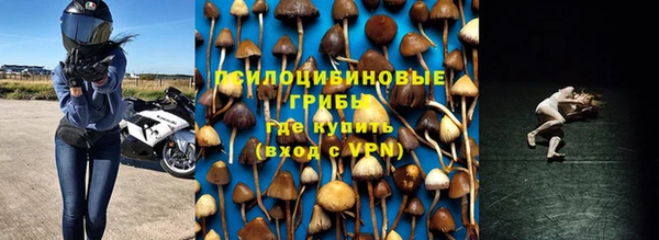 Альфа ПВП Медногорск
