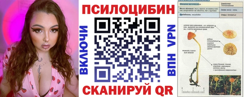 кракен ONION  Черепаново  Псилоцибиновые грибы Psilocybine cubensis 